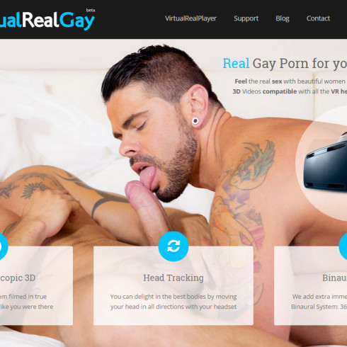 VirtualRealGay: New VR Gay website launch!