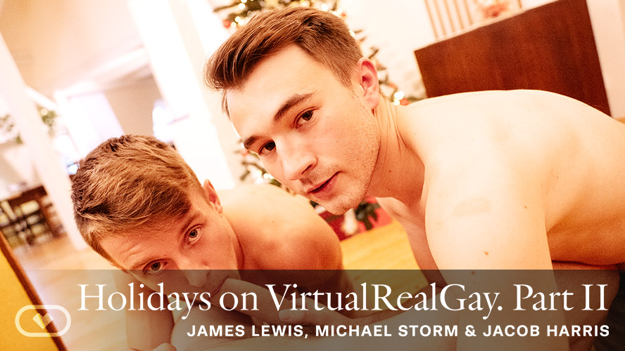 Holiday Threesome in VR Gay