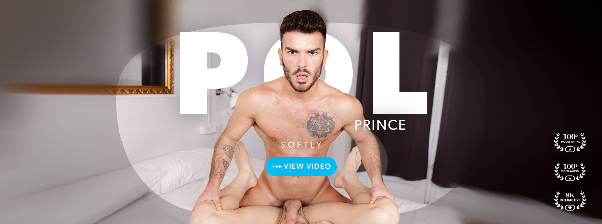 Pol Prince - VR GAY Porn video
