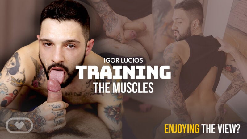 Entraînement des muscles